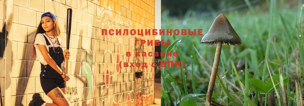 мдпв Заволжье