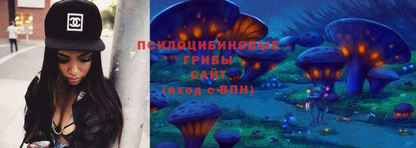 мдпв Заволжье