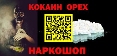 шишки Тара