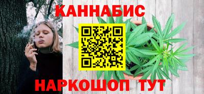 шишки Тара