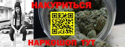 шишки Тара