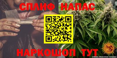 ECSTASY Тверь