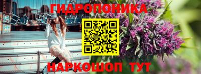 шишки Тара