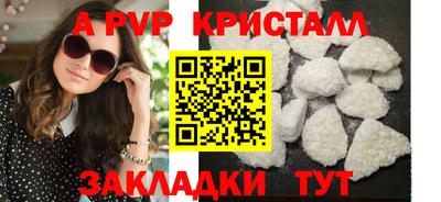 шишки Тара